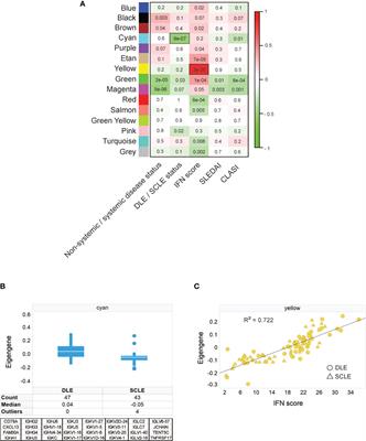 B Cell Signatures Distinguish Cutaneous Lupus Erythematosus Subtypes and the Presence of Systemic Disease Activity